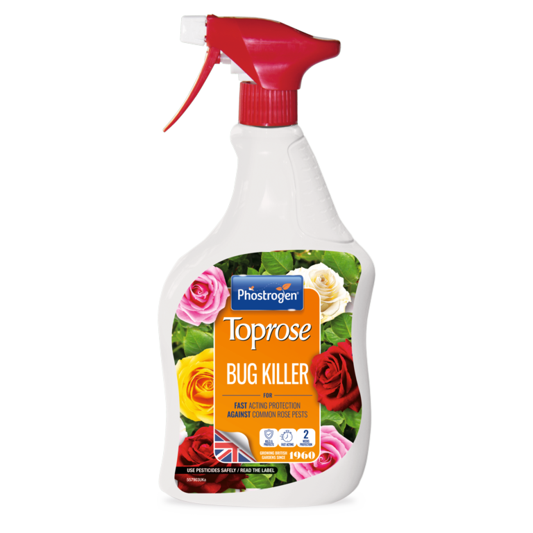 Bug Killer
