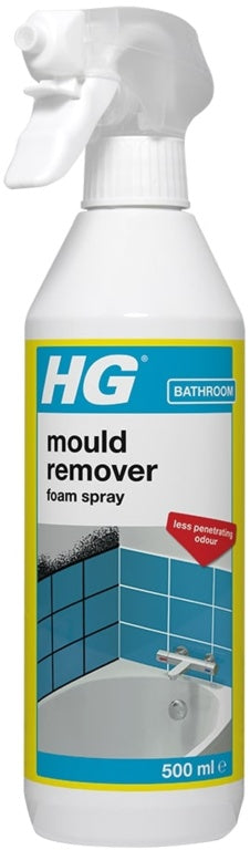 HG Mould Remover Foam Spray