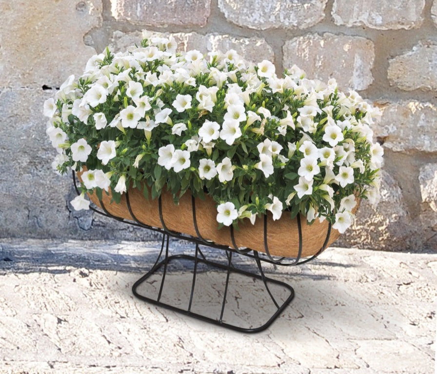 Ambassador Cradle Planter With Coco Liner