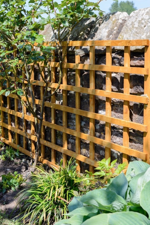 Grange Heavy Duty Square Trellis 1.83m x 61cm