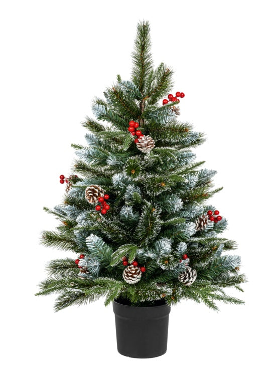 Premier New Jersey Spruce 90cm