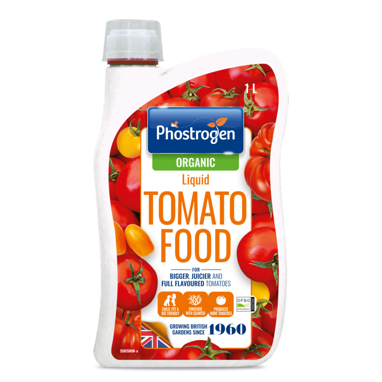 Organic Tomato Food