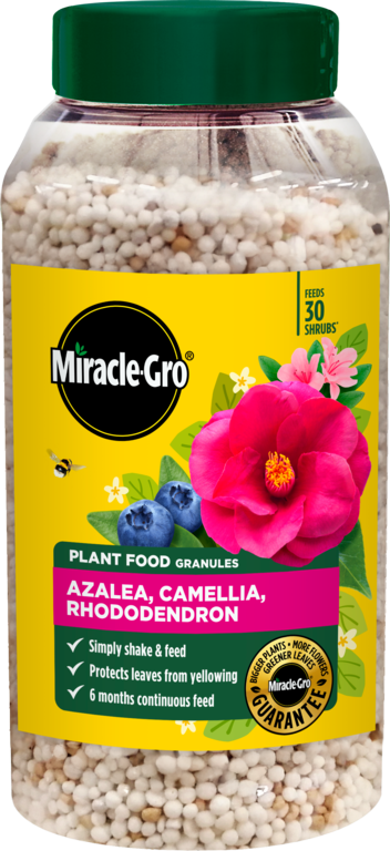 Miracle-Gro® Azalea, Camellia & Rhododendron Continuous Release Plant Food