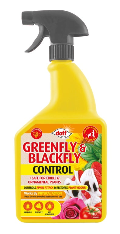 Greenfly & Blackfly Control