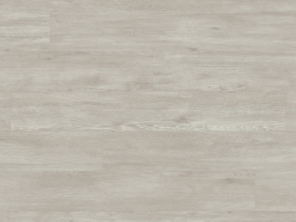 Palio Rigid Bridgeport