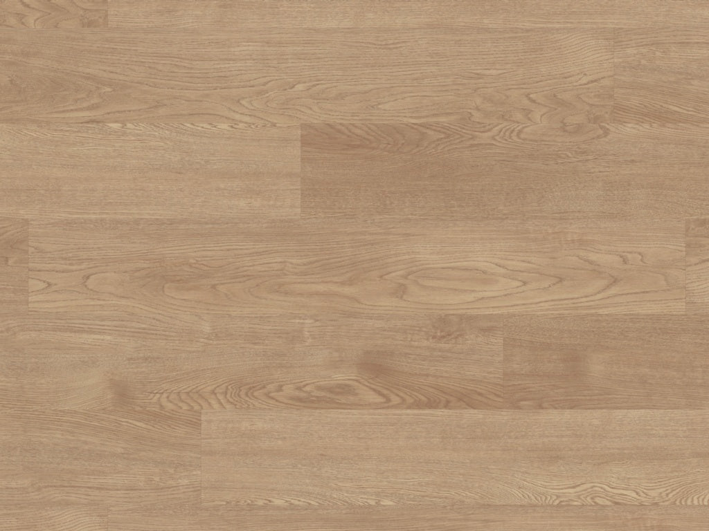 Palio Gluedown Tavolara