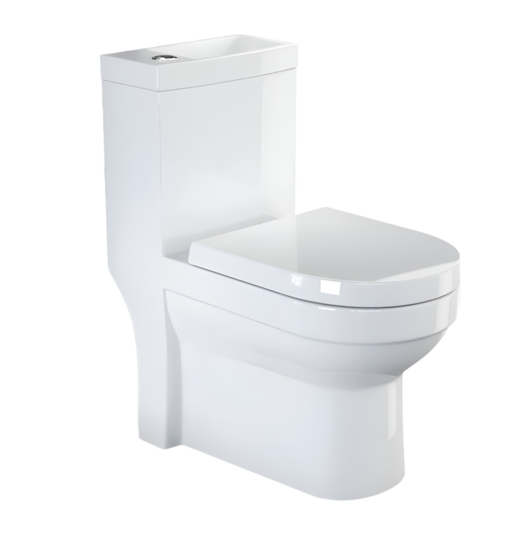 SP 2 In 1 Toilet, Sink & Tap