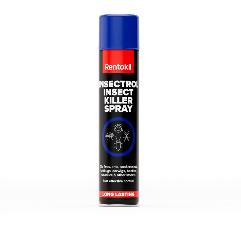 Rentokil Insectrol Insect Killer Spray 600ml