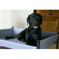 Elevated Dog Bed