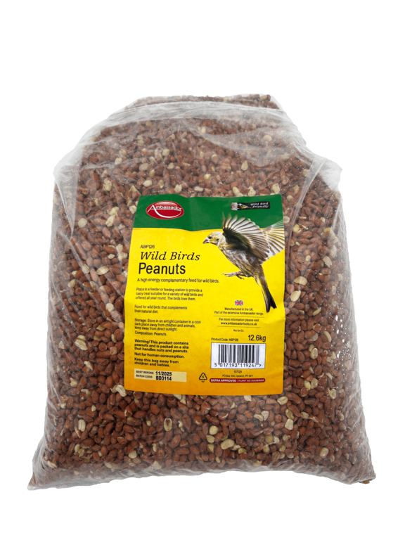 Ambassador Peanuts 12.6kg