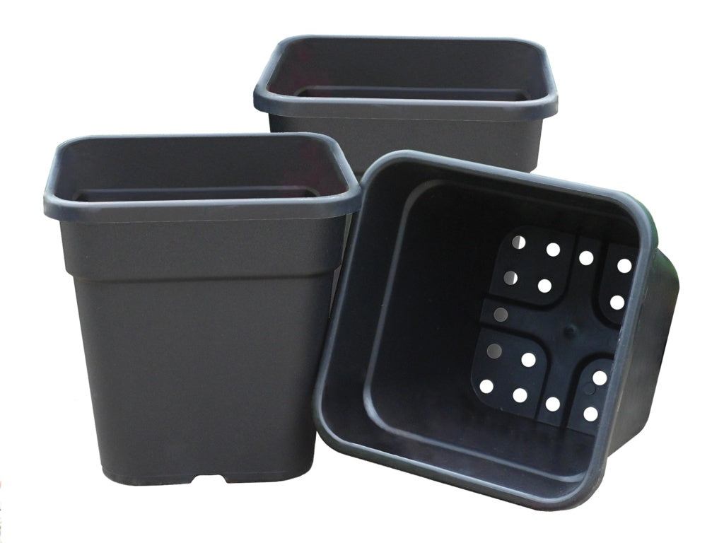 Square Tomato Pots Black