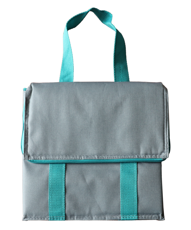 Pagoda Cool Bag With Ice Pack 10L