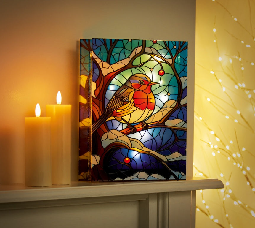 Premier Battery Operated Lit Glass Robin Table Top 50 LED Warm White 21x28