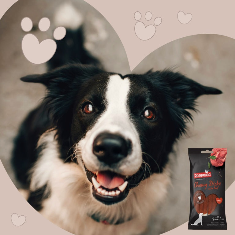 Chewy Sticks With Beef Dog Treats