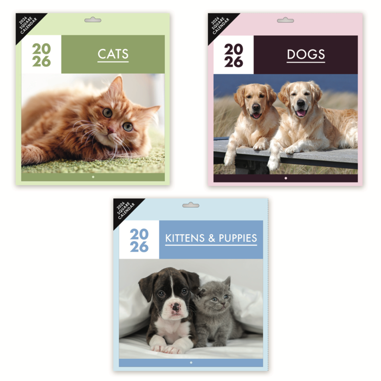 Ig Design Square Calendar Pets 3 Assorted Designs