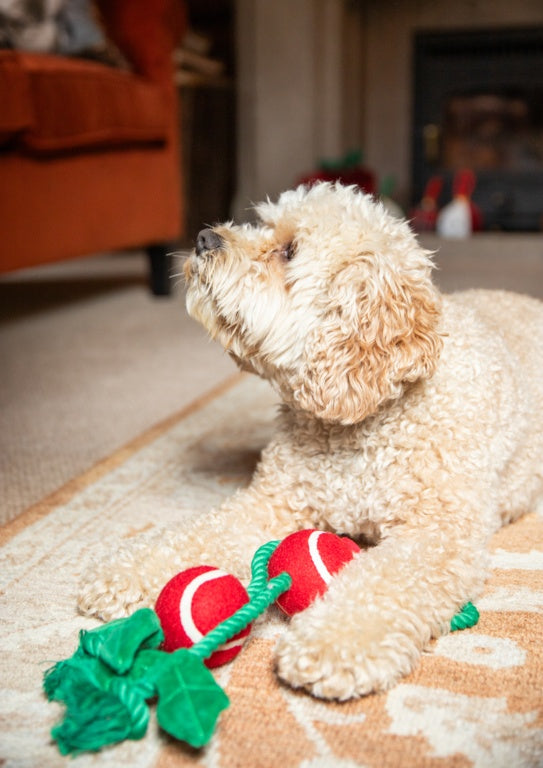 Rosewood Cupid & Comet Holly Jolly Rope Toy