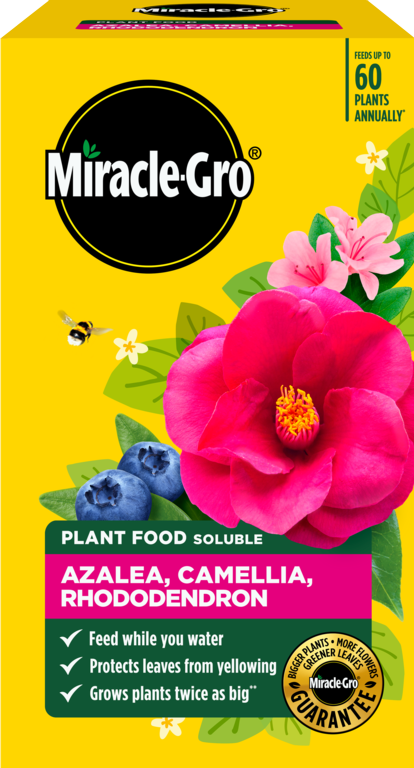Miracle-Gro® Azalea, Camellia & Rhododendron Soluble Plant Food 1kg