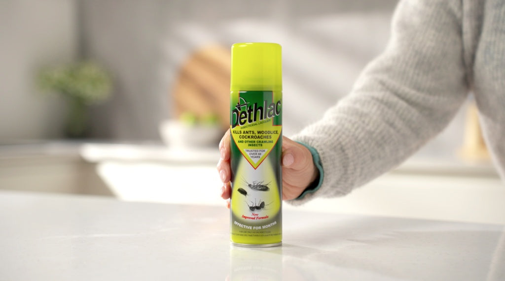 Dethlac Insecticidal Lacquer 250ml Aerosol