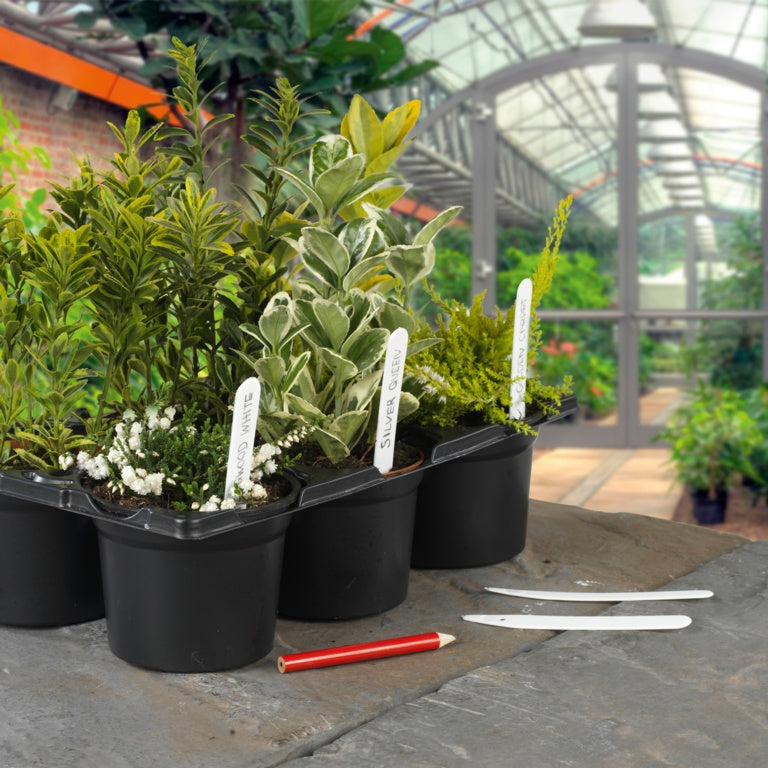 Ambassador Plant Labels & Pencil