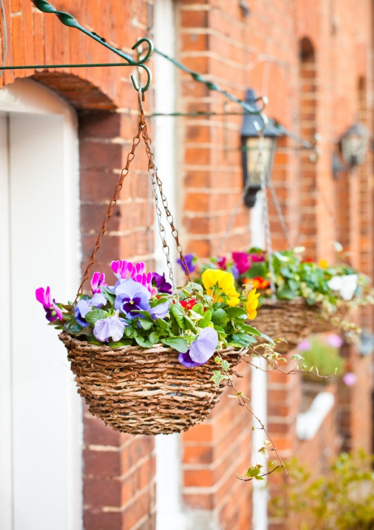 Ambassador Rattan Hanging Basket 14"