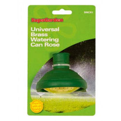 Ambassador Watering Can Rose