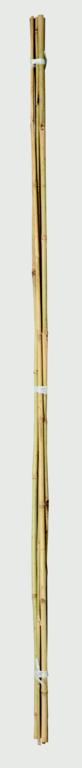 Ambassador Bamboo Canes 4 Pack 20