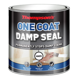 Thompsons One Coat Damp Seal 250ml