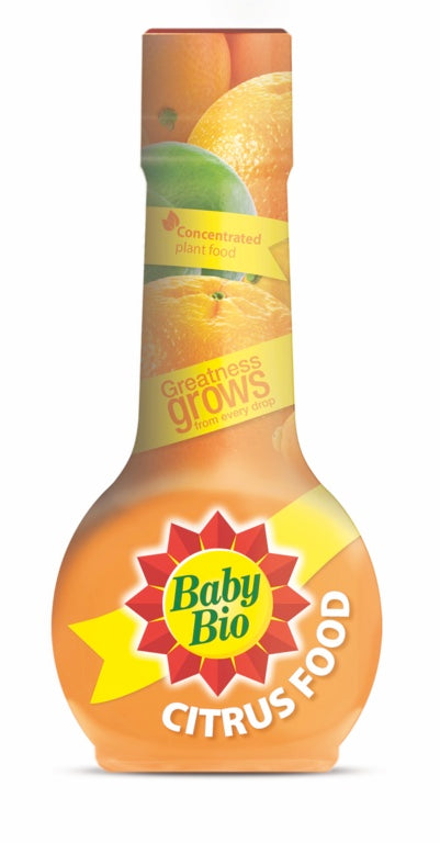 Citrus Food