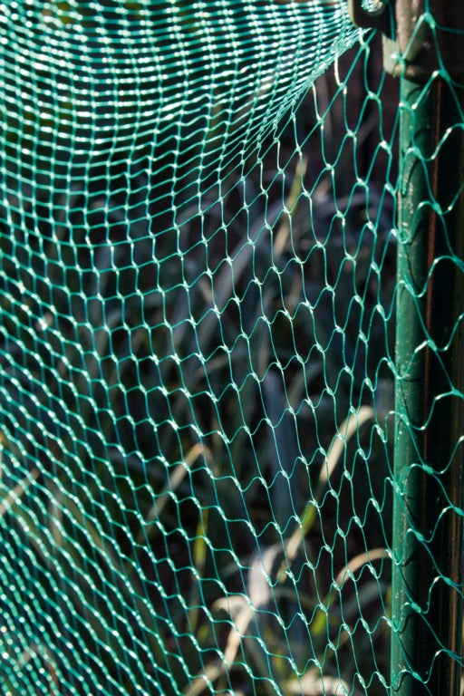 Ambassador Garden Net Green 15mm x 6 x 2m
