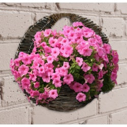 Willow Wall Basket