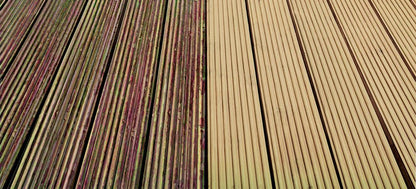 Ronseal Decking Stripper