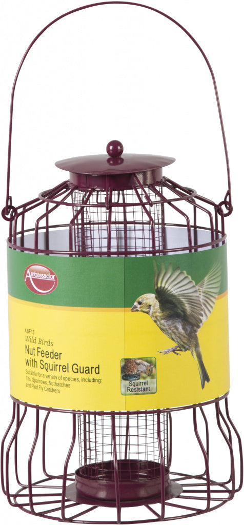 Ambassador Wild Birds Nut Feeder With Squirrel Guard