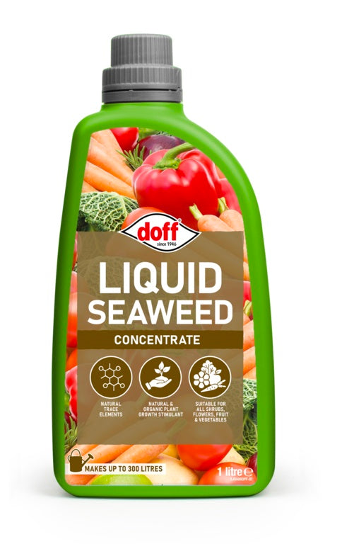 Doff Liquid Seaweed Plant Feed 1L