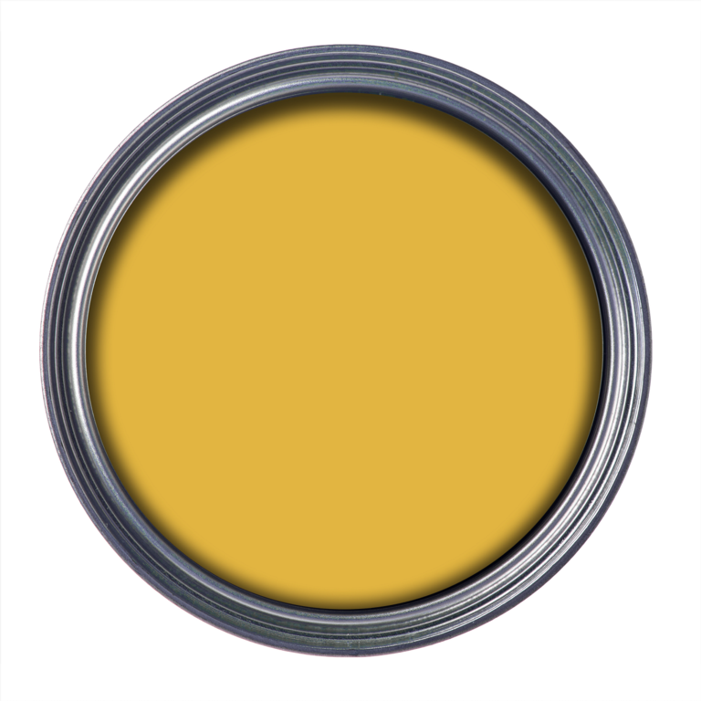 Ronseal Garden Paint 250ml Sundial