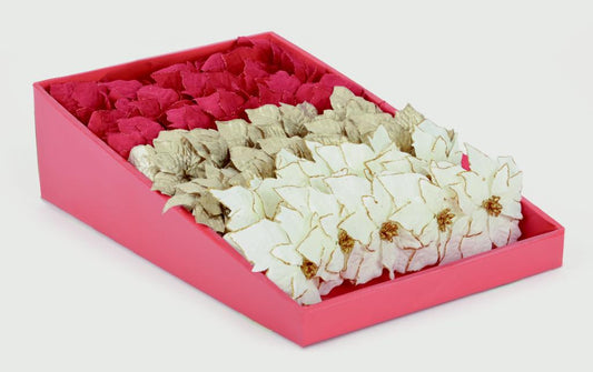 Premier Poinsettia Clip White & Red