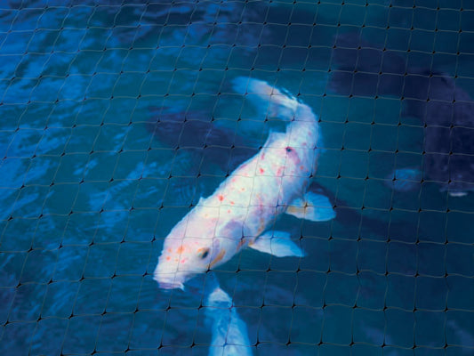 Pond Protection Net