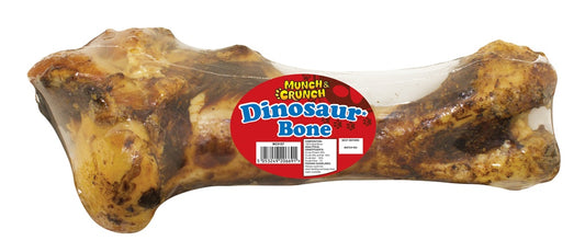 Dinosaur Bone