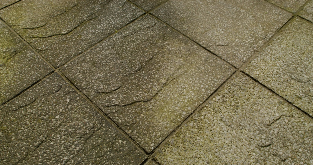 Organic Path, Patio & Decking Cleaner