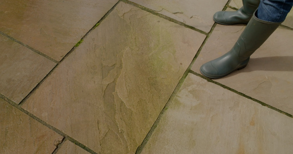 Organic Path, Patio & Decking Cleaner