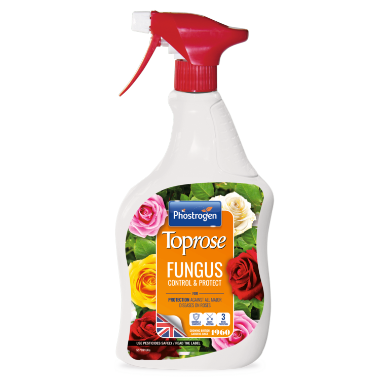 Fungus Control & Protect