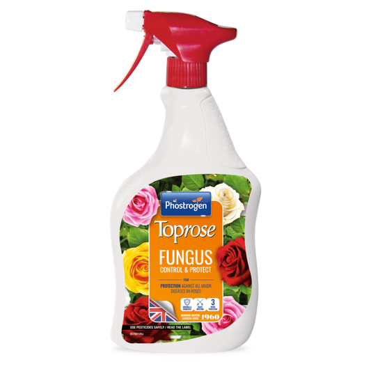Fungus Control & Protect