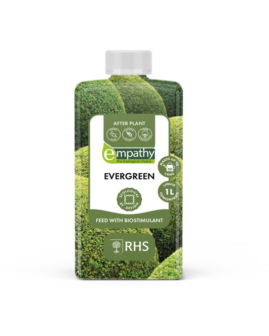 Empathy After Plant Evergreen 1L