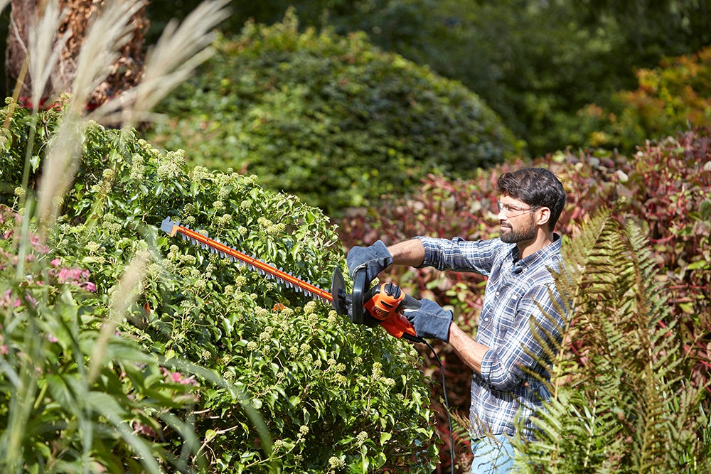 Black & Decker Hedge Trimmer