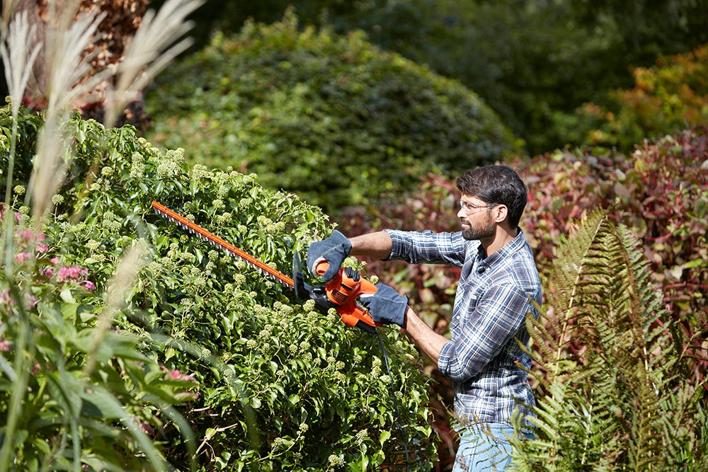 Black & Decker Hedge Trimmer