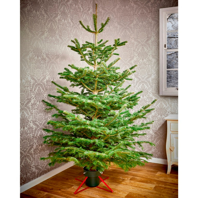 Premier Real Tree Metal Stand 46cm Green Red