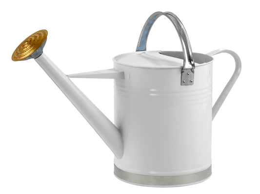 Metal Watering Can