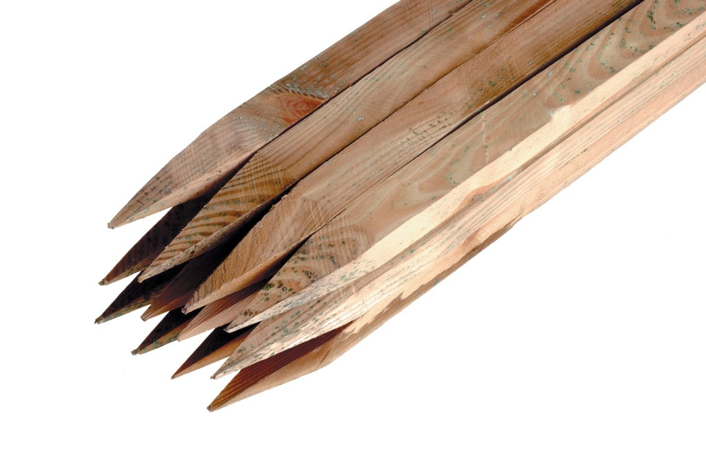 Ambassador Birch Hardwood Tree Stakes 37mm x 2.4m