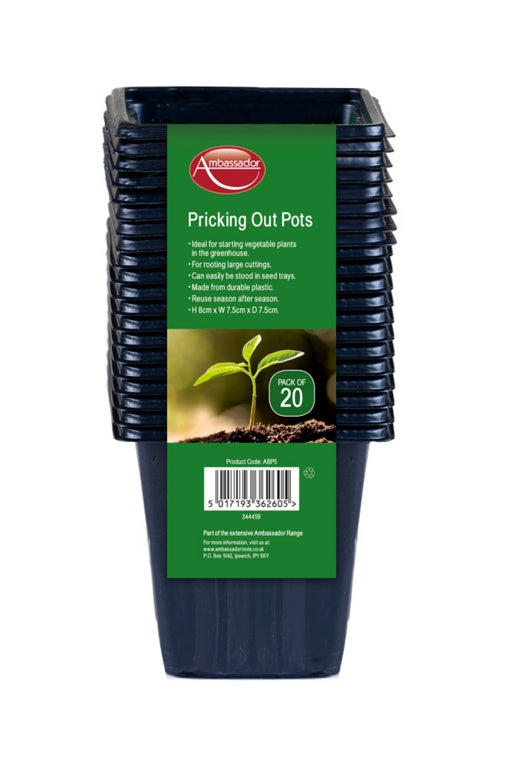 Pricking Out Pots