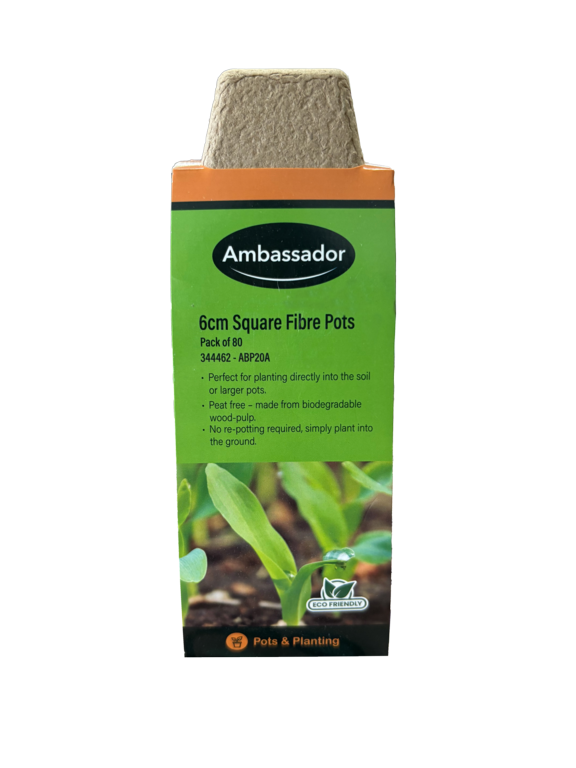 Ambassador Square Fibre Pots