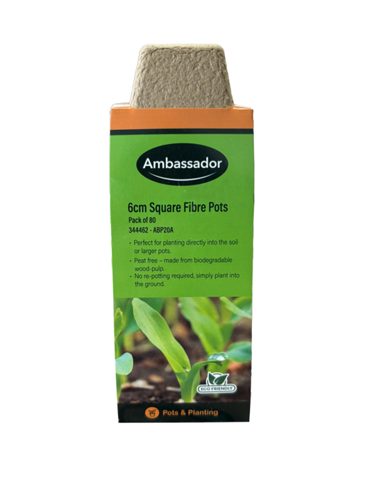 Ambassador Square Fibre Pots